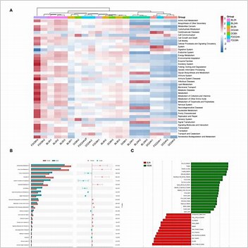 Carisbamate Articles Without Kegg Source