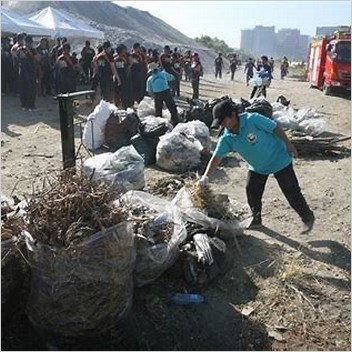 Pasay Cleanup Tagged Articles With A Reason Field From May 2016